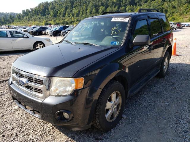Photo 2 from auction – 2011 FORD ESCAPE XLT with VIN 1FMCU9DG6BKB12186