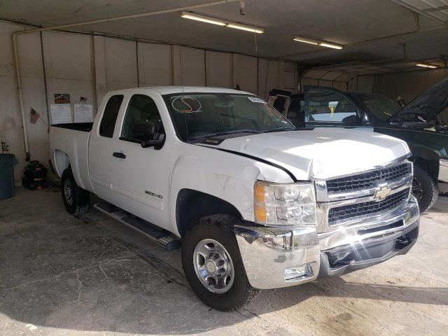 CHEVROLET SILVERADO 2010 with VIN 1GC5CXBG6AZ267298 - Photo from auction