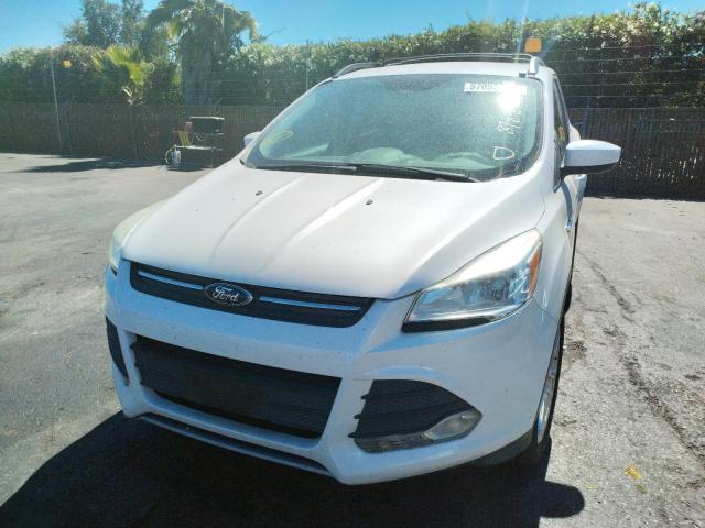 Photo 9 from auction – 2013 FORD ESCAPE with VIN 1FMCU0GX2DUA40580