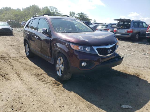 KIA SORENTO EX 2013 with VIN 5XYKU4A67DG321962 - Photo from auction