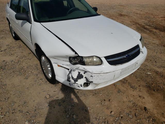 Photo 9 from auction – 2005 CHEVROLET CLASSIC with VIN 1G1ND52FX5M132197