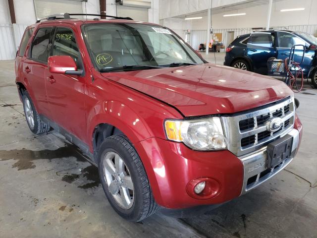 FORD ESCAPE LIM 2010 with VIN 1FMCU0EGXAKD19849 - Photo from auction