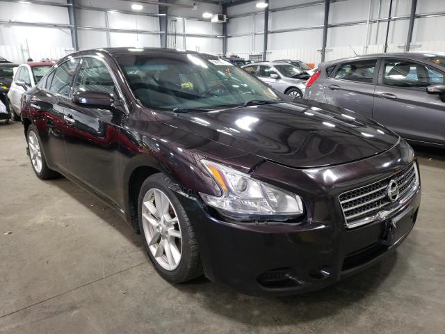 NISSAN MAXIMA S 2010 with VIN 1N4AA5AP9AC838141 - Photo from auction