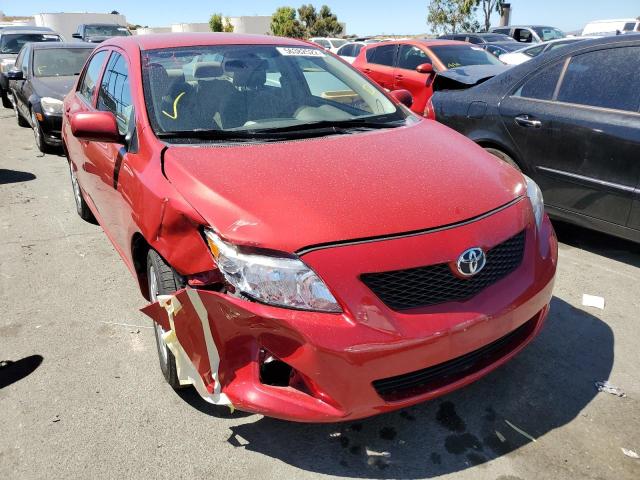 TOYOTA COROLLA BA 2010 with VIN 1NXBU4EE7AZ250530 - Photo from auction