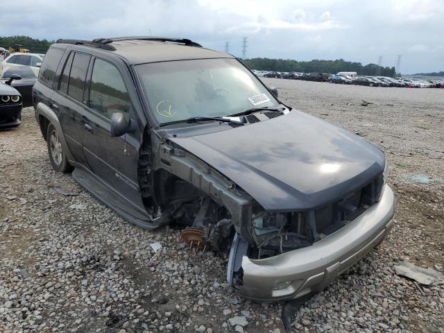 CHEVROLET TRAILBLAZE 2003 with VIN 1GNDS13S732292955 - Photo from auction