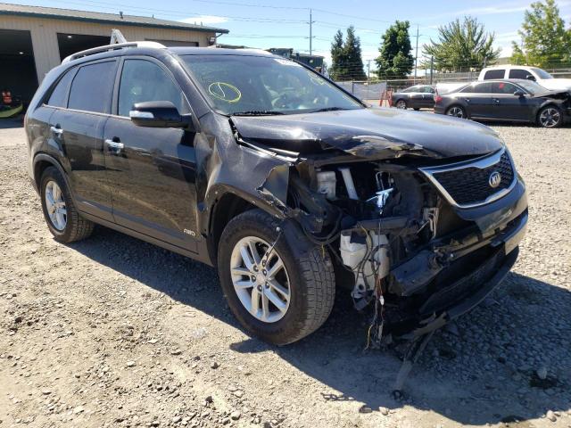 KIA SORENTO LX 2014 with VIN 5XYKTCA66EG450824 - Photo from auction