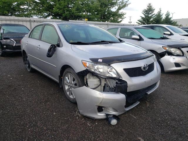 TOYOTA COROLLA BA 2009 with VIN 2T1BU40E09C178462 - Photo from auction