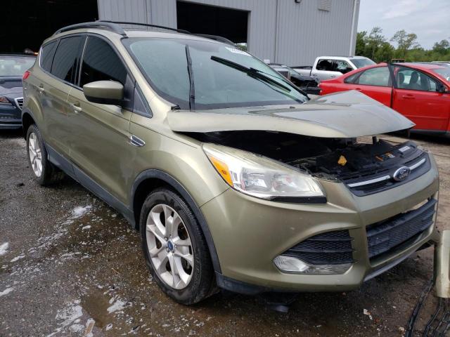 FORD ESCAPE SE 2013 with VIN 1FMCU0GX3DUB60789 - Photo from auction