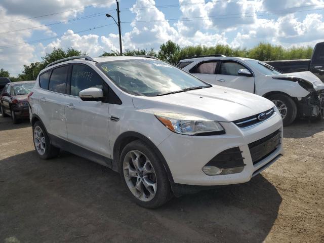 FORD ESCAPE TIT 2014 with VIN 1FMCU9JXXEUB08347 - Photo from auction