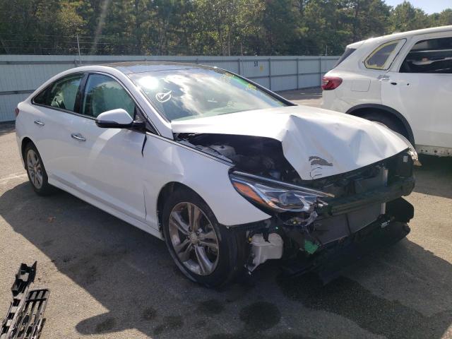 HYUNDAI SONATA LIM 2019 with VIN 5NPE34AF3KH758492 - Photo from auction
