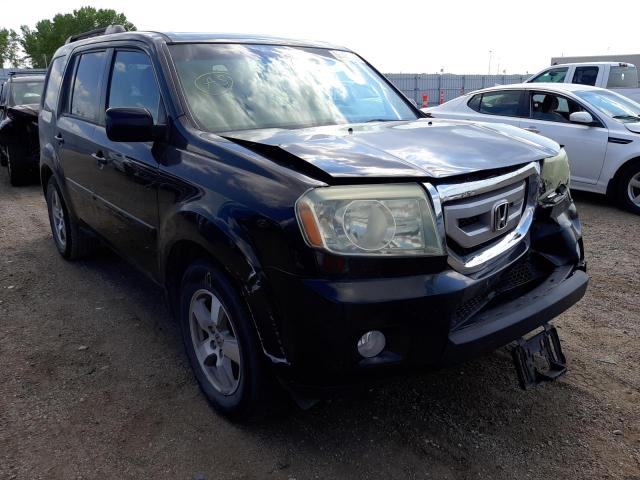 HONDA PILOT EXL 2010 with VIN 5FNYF4H51AB016283 - Photo from auction