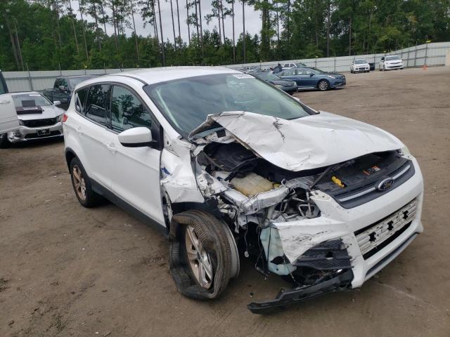 FORD ESCAPE SE 2014 with VIN 1FMCU0G96EUD45423 - Photo from auction