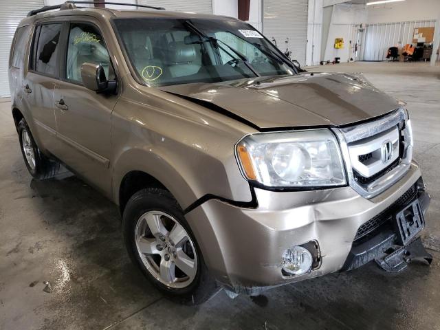 HONDA PILOT EXLN 2011 with VIN 5FNYF4H73BB001996 - Photo from auction