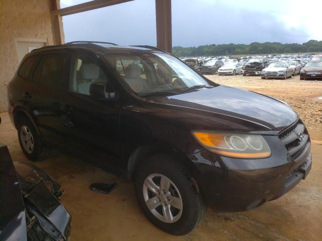 HYUNDAI SANTA FE G 2009 with VIN 5NMSG13D49H250489 - Photo from auction