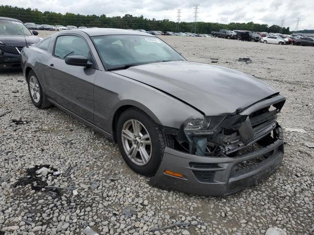 FORD MUSTANG 2014 with VIN 1ZVBP8AM4E5282767 - Photo from auction