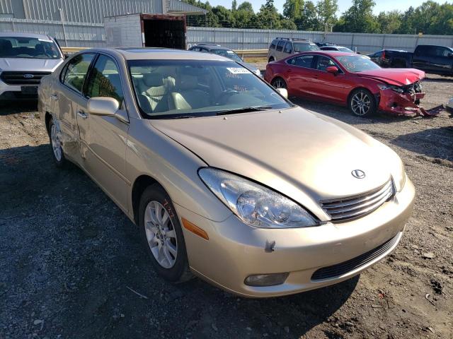 LEXUS ES 330 2004 with VIN JTHBA30G045038145 - Photo from auction