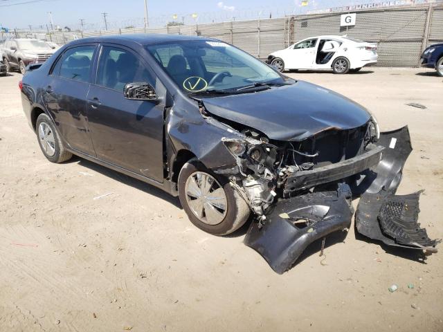 TOYOTA COROLLA BA 2010 with VIN 1NXBU4EE7AZ367945 - Photo from auction