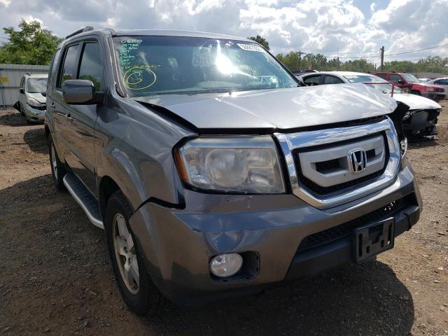 HONDA PILOT EXLN 2011 with VIN 5FNYF4H75BB029606 - Photo from auction