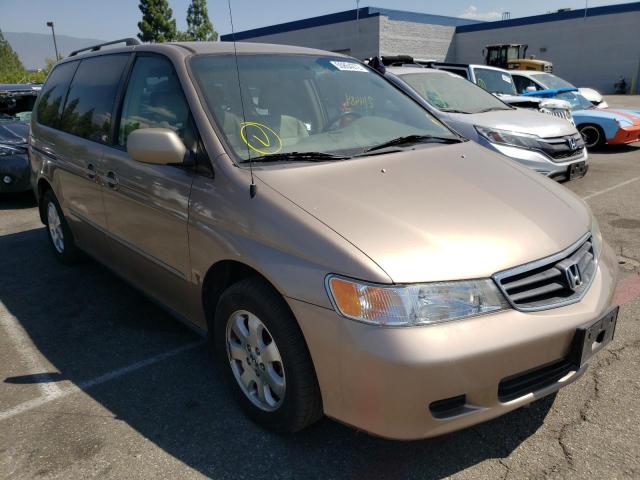 HONDA ODYSSEY EX 2003 with VIN 5FNRL189X3B035495 - Photo from auction