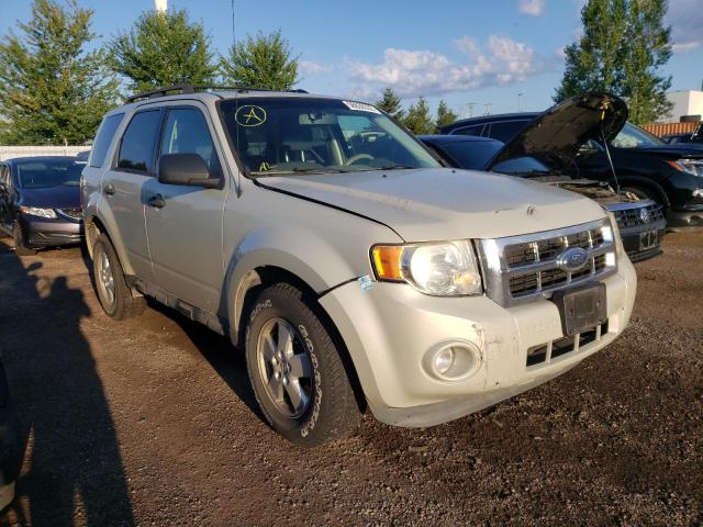 Photo 1 from auction – 2009 FORD ESCAPE XLT with VIN 1FMCU03G69KA05663