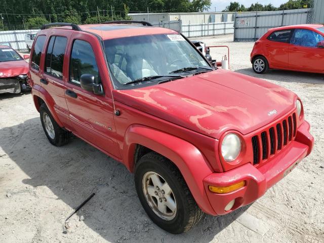 JEEP LIBERTY LI 2003 with VIN 1J4GL58K33W645617 - Photo from auction