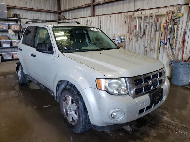 Photo 1 from auction – 2009 FORD ESCAPE XLT with VIN 1FMCU03799KA36163