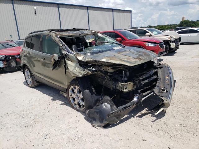 FORD ESCAPE SEL 2013 with VIN 1FMCU0H94DUD85271 - Photo from auction