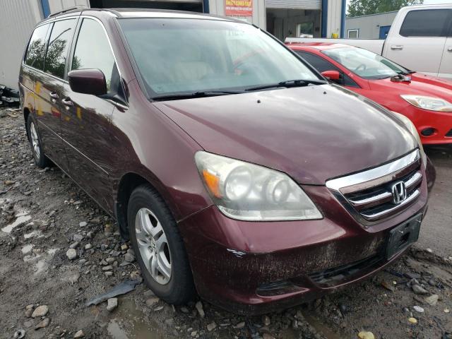 HONDA ODYSSEY EX 2007 with VIN 5FNRL38627B453654 - Photo from auction
