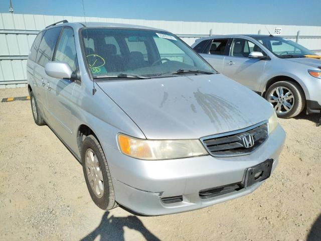 HONDA ODYSSEY EX 2003 with VIN 5FNRL18663B018831 - Photo from auction