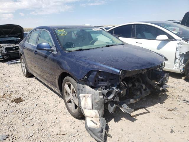 CHEVROLET MALIBU 1LT 2010 with VIN 1G1ZC5EB4AF121093 - Photo from auction