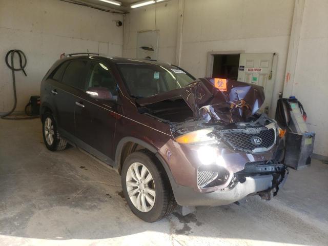 KIA SORENTO BA 2011 with VIN 5XYKT4A27BG049474 - Photo from auction