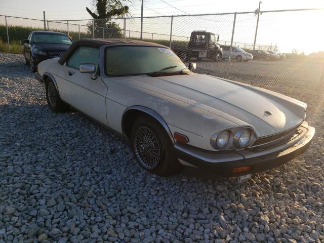 JAGUAR XJS 1989 with VIN SAJNV4849KC153453 - Photo from auction
