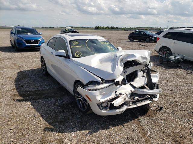 BMW 228 I SULE 2016 with VIN WBA1F9C58GV545663 - Photo from auction