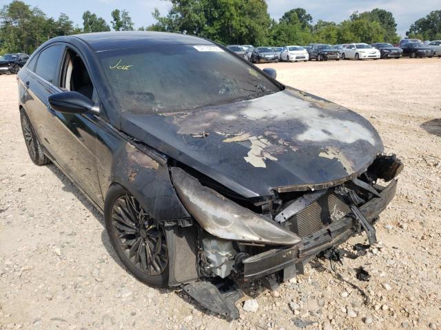 HYUNDAI SONATA GLS 2013 with VIN 5NPEB4AC7DH516607 - Photo from auction