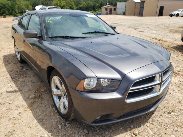 DODGE CHARGER SX 2013 with VIN 2C3CDXHG1DH701292 - Photo from auction