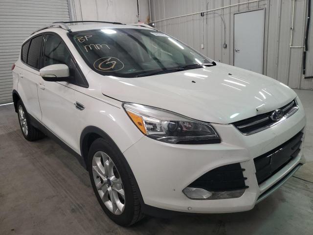 FORD ESCAPE TIT 2014 with VIN 1FMCU0JX4EUC16779 - Photo from auction