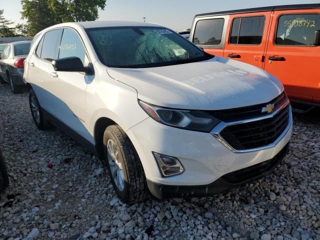 CHEVROLET EQUINOX LS 2019 with VIN 2GNAXSEV0K6156718 - Photo from auction