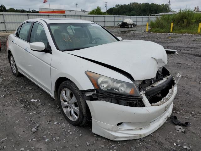 HONDA ACCORD EX 2010 with VIN 5KBCP3F74AB010730 - Photo from auction