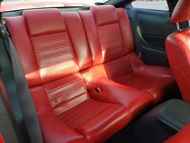 Photo 6 from auction – 2005 FORD MUSTANG with VIN 1ZVFT80N655238258
