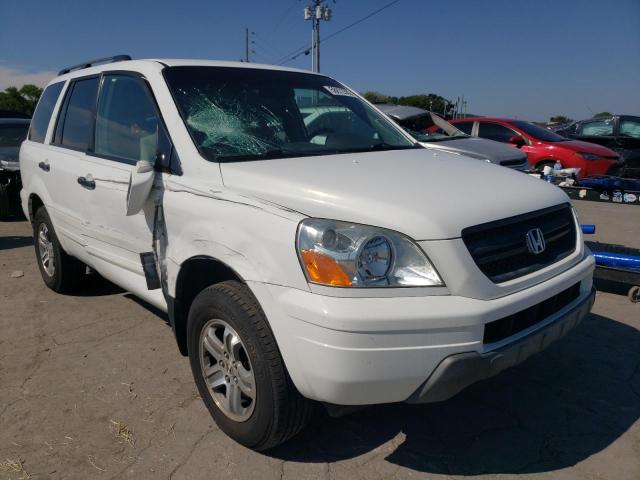 HONDA PILOT EX 2005 with VIN 5FNYF18425B037199 - Photo from auction