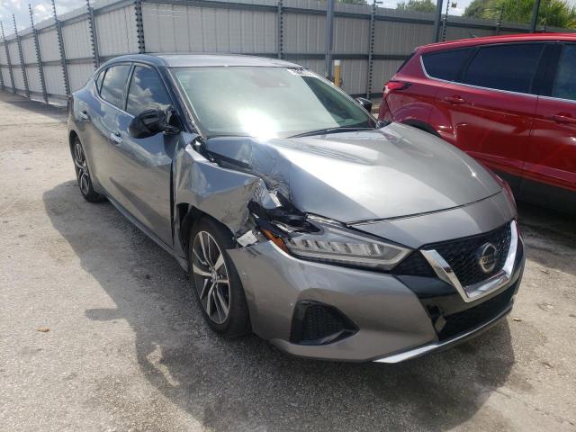 NISSAN MAXIMA SV 2022 with VIN 1N4AA6CV2NC503293 - Photo from auction