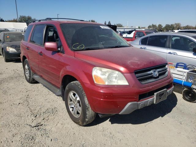 HONDA PILOT EXL 2003 with VIN 2HKYF18583H505945 - Photo from auction