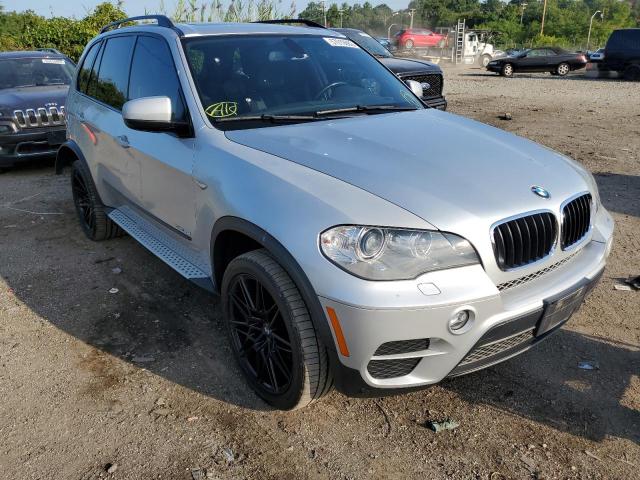 BMW X5 XDRIVE3 2013 with VIN 5UXZV4C56D0B03387 - Photo from auction