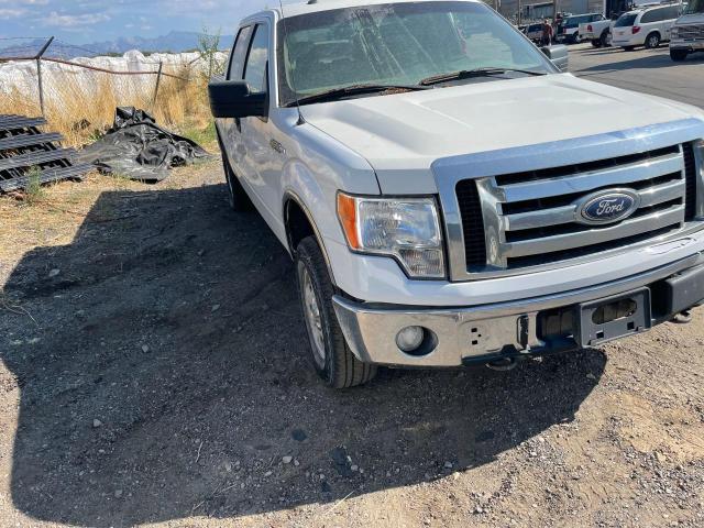 Photo 1 from auction – 2010 FORD F150 SUPER with VIN 1FTFW1EV0AFC07733