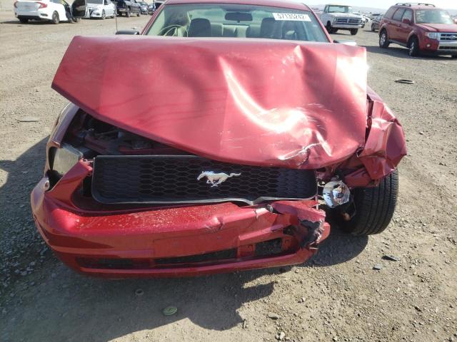 Photo 9 from auction – 2005 FORD MUSTANG with VIN 1ZVFT80N655176375