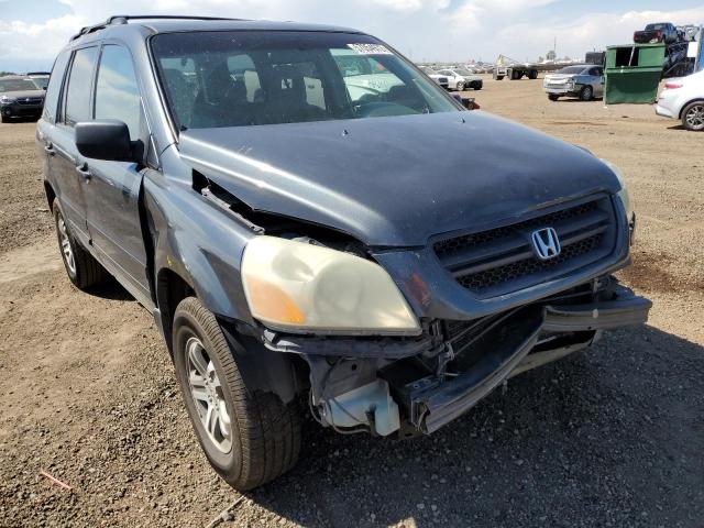 HONDA PILOT EX 2004 with VIN 2HKYF18494H555732 - Photo from auction
