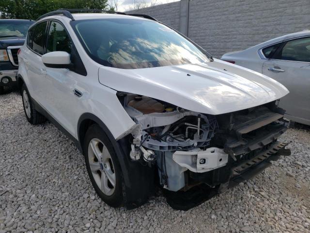 FORD ESCAPE SE 2013 with VIN 1FMCU9G98DUD38749 - Photo from auction