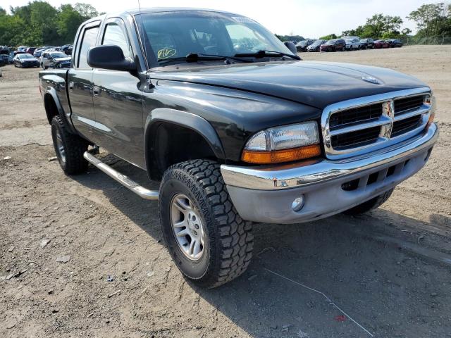 DODGE DAKOTA QUA 2004 with VIN 1D7HG48N64S682694 - Photo from auction