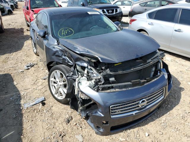 NISSAN MAXIMA S 2009 with VIN 1N4AA51E49C853026 - Photo from auction