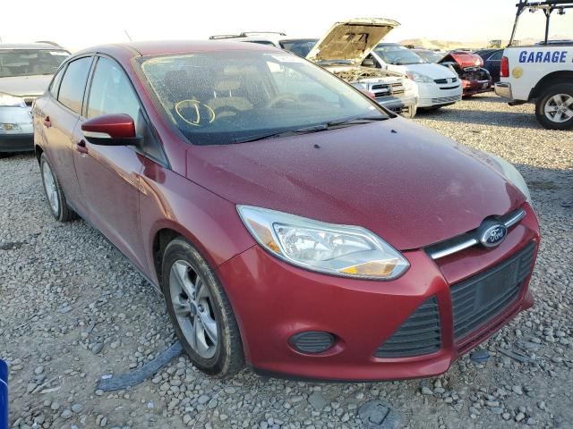 FORD FOCUS SE 2013 with VIN 1FADP3F26DL177489 - Photo from auction